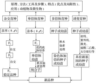 生物育種 2019高考生物二輪復(fù)習(xí)專題六核心突破（含學(xué)案答案）