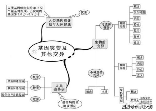 高中生物思維導(dǎo)圖搶先看 生物育種關(guān)鍵知識(shí)點(diǎn)全解析